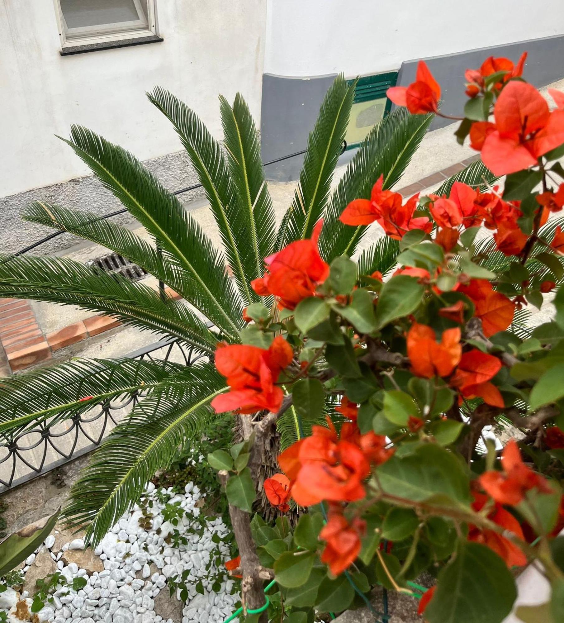 Alle Stelle B&B Anacapri  Exterior photo